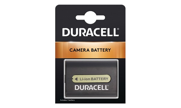 DCR-SR300 Battery (2 Cells)