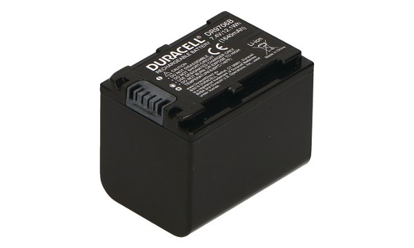 HandyCam HDR-TD20VE Battery (4 Cells)