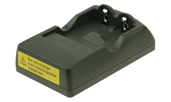 Z-Up80 Auto Date Charger