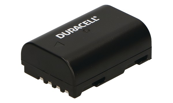 DMW-BLF19E Battery (2 Cells)