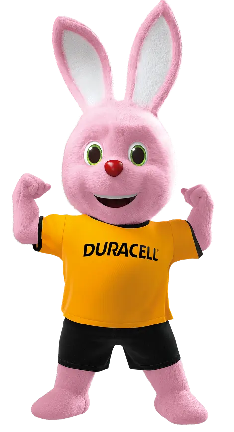 BUN0256A - UPS Lead acid - Duracell Direct co uk